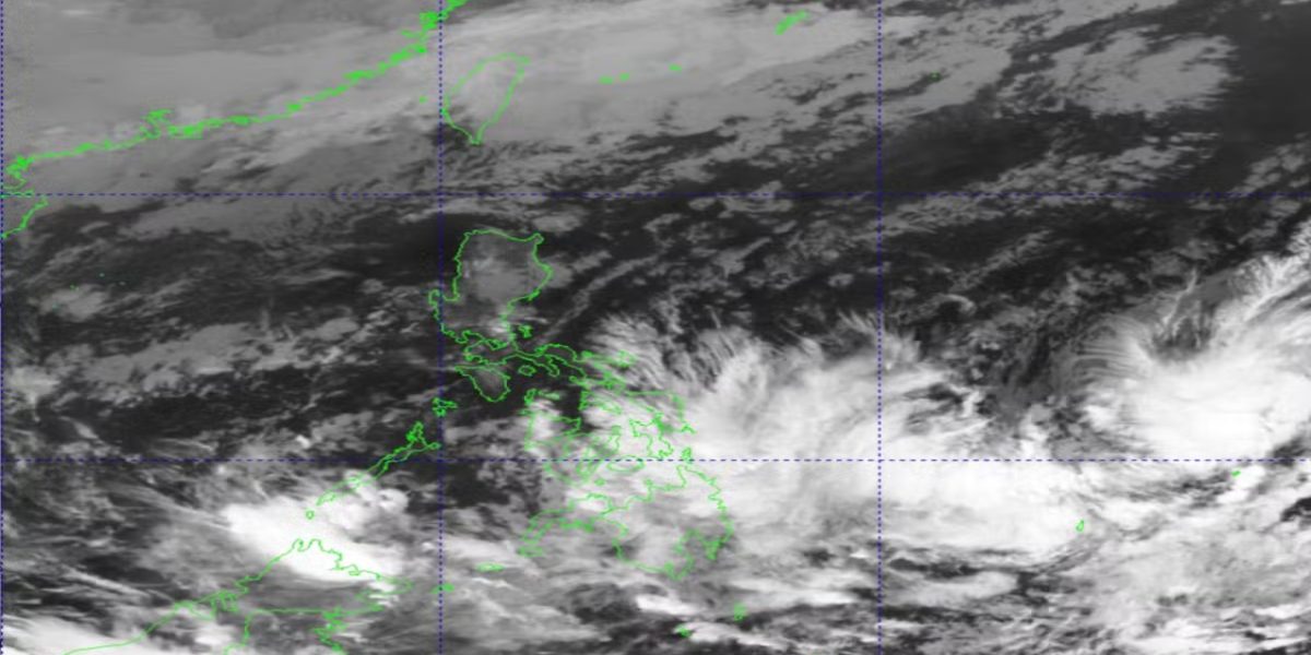 photo 2026 03 10 21 25 32 1