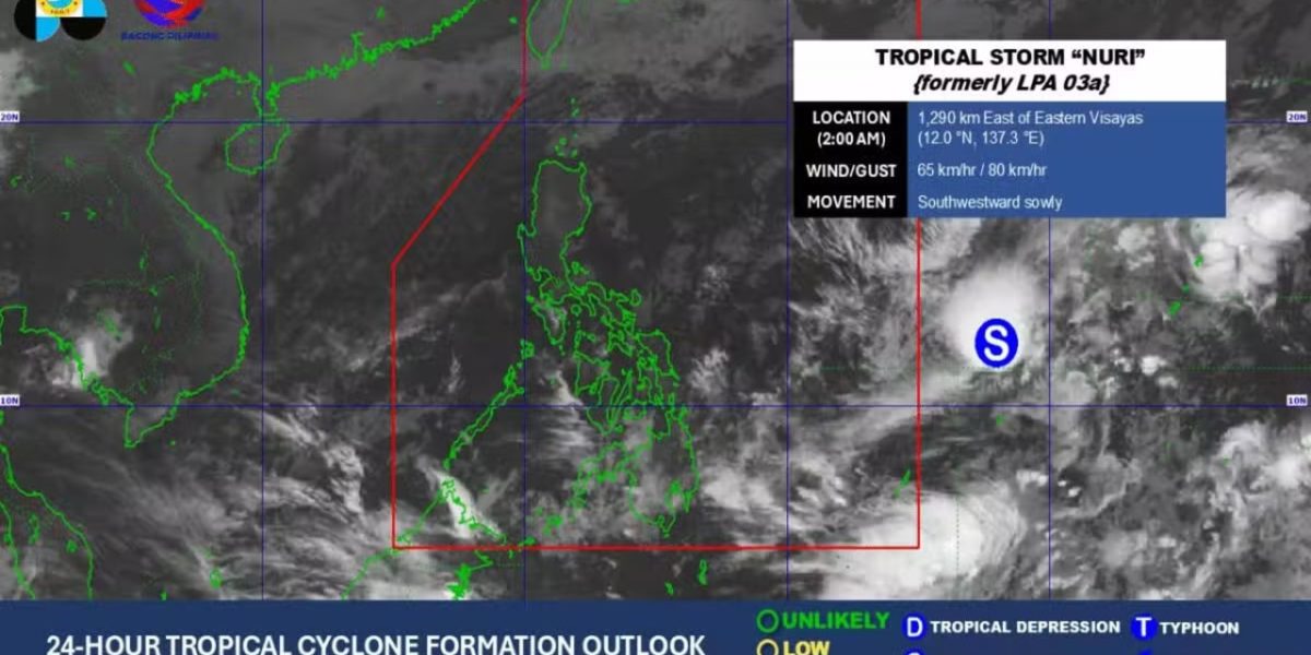 photo 2026 03 12 22 27 15 1