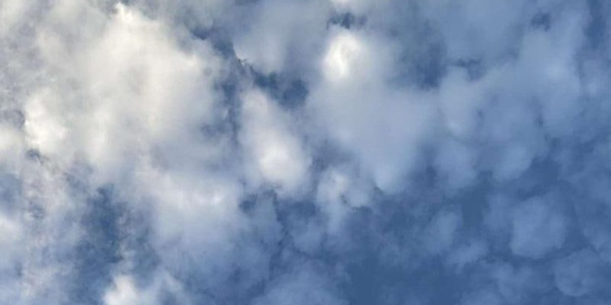 photo 2026 03 15 18 13 36 1