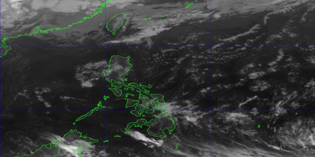 photo 2026 03 21 22 29 07 1