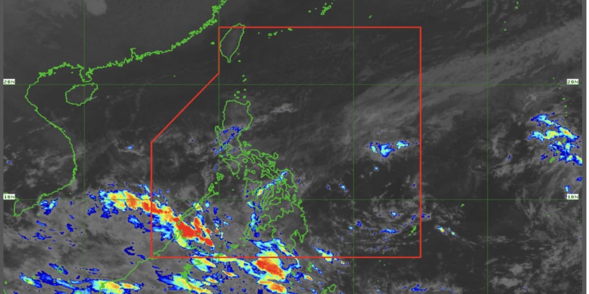 photo 2026 03 23 19 40 25 1