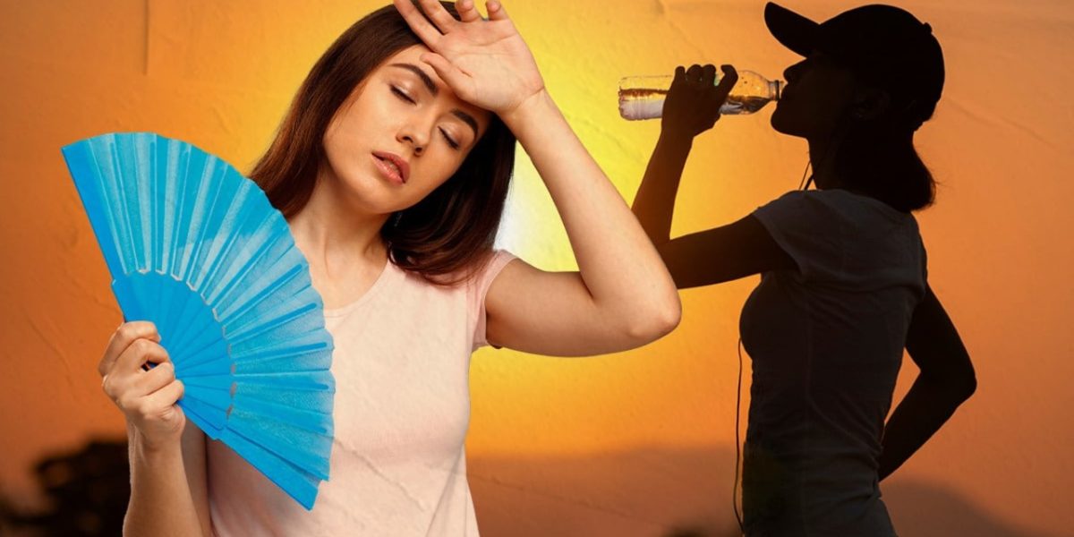 WhatsApp Image 2025 05 19 at 12.12.41