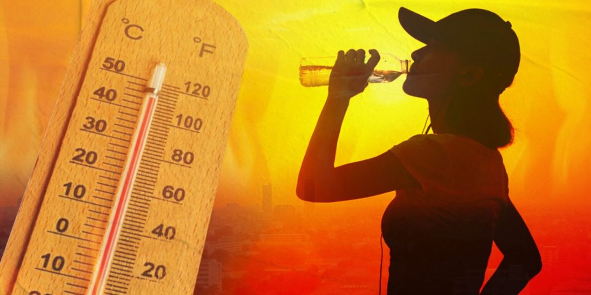 WhatsApp Image 2025 05 19 at 12.12.42 1536x947 1