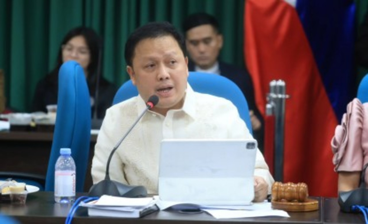 Arrest of Zaldy Co step toward justice, accountability – Speaker Dy
