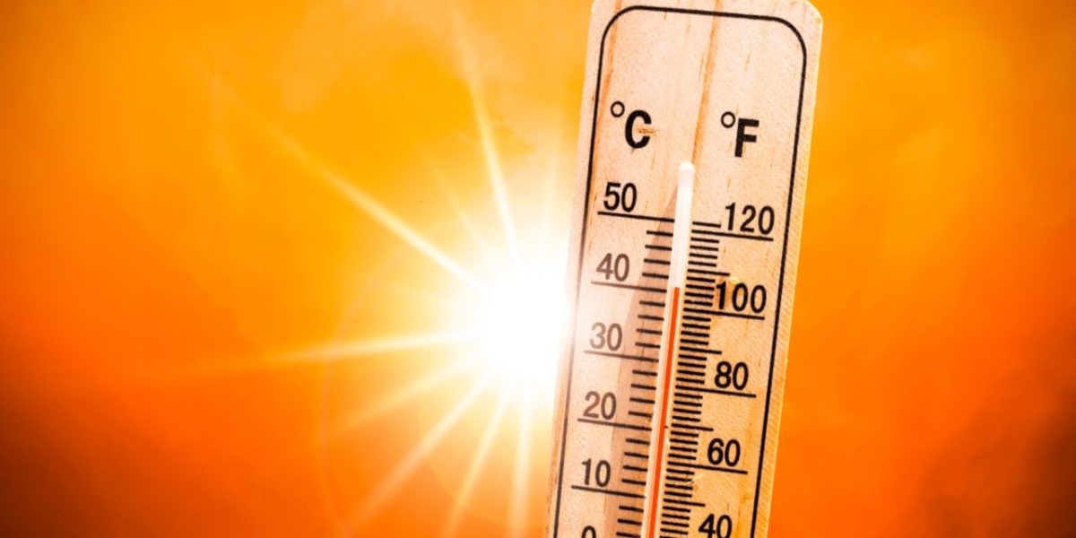 photo 2026 04 03 21 57 04 1