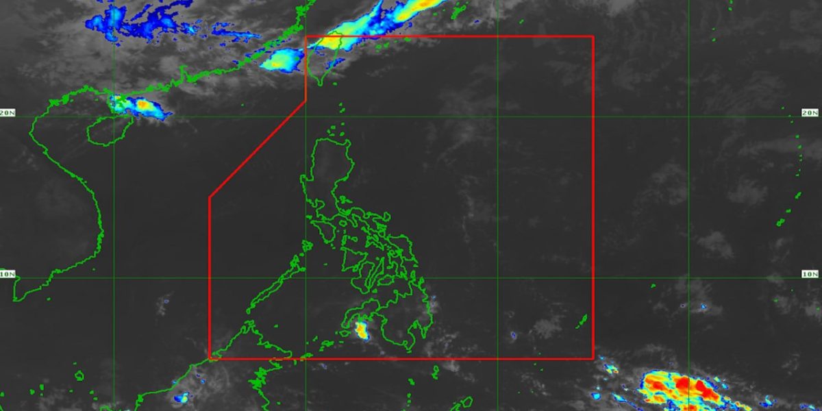 photo 2026 04 05 23 03 24 1