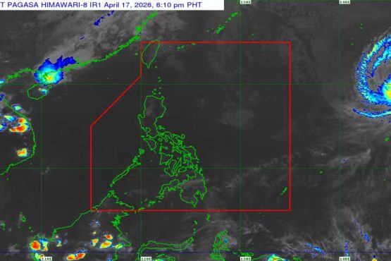 photo 2026 04 17 22 32 48 1