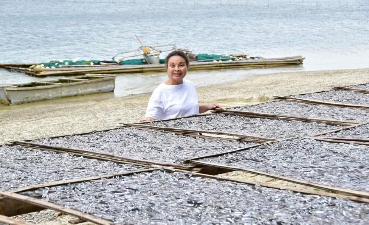 Legarda: Stop massive fish imports, help fishers via fuel VAT suspension