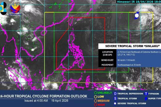 photo 2026 04 19 11 44 47 1