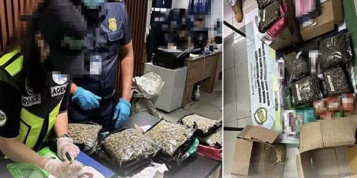 photo 2026 04 25 15 06 48 1