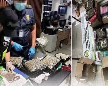 photo 2026 04 25 15 06 48 1