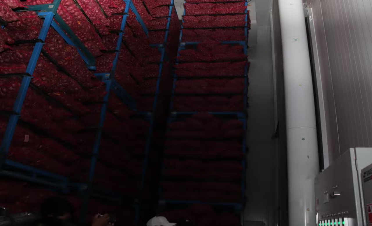 P35.4-M smuggled onions, garlic seized in Nueva Ecija