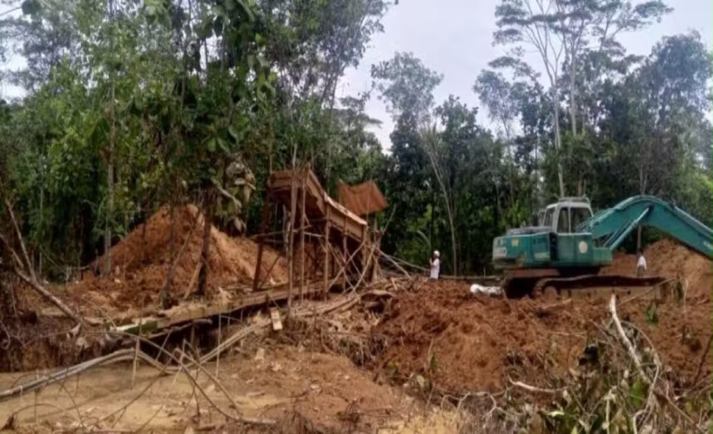 photo 2026 06 28 18 52 49 1